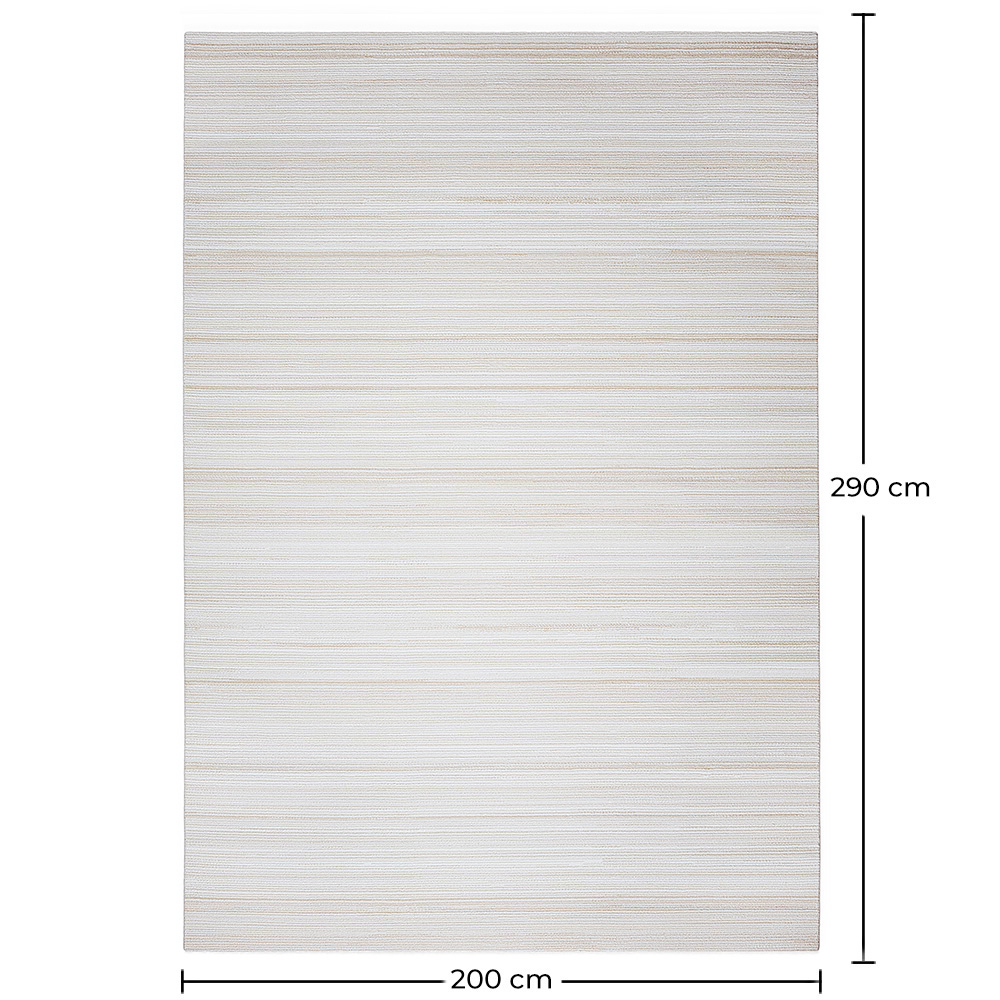 Rug Large Contemporary Modern Design - Beige (290x200 cm) - Traney image 10