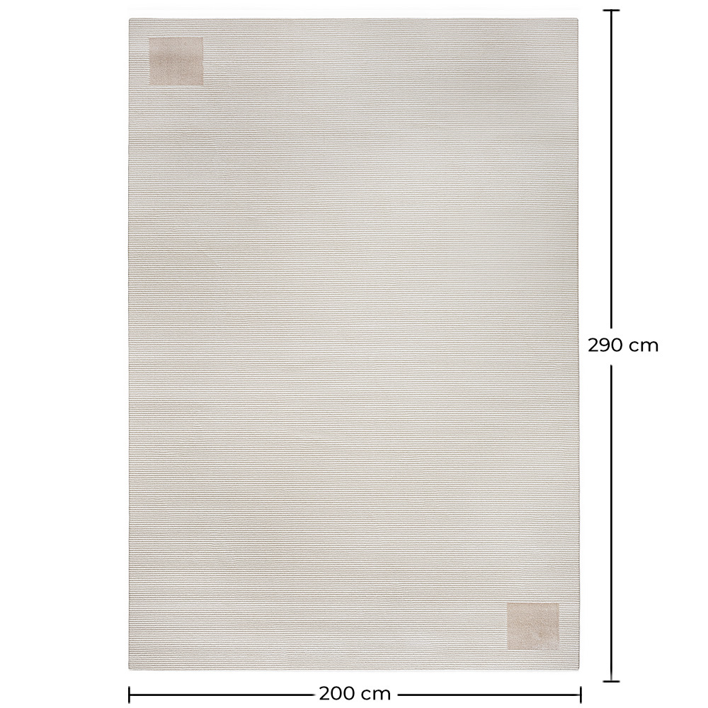 Rug Large Contemporary Modern Design - Beige (290x200 cm) - Cyru image 10