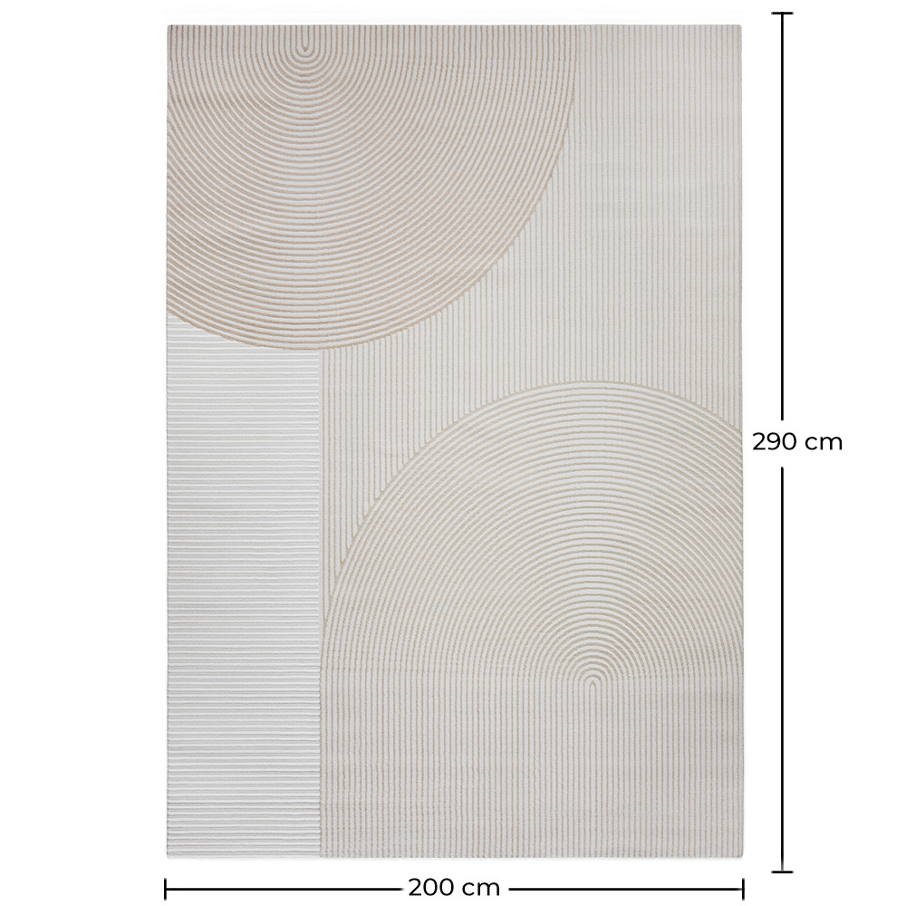 Rug Large Contemporary Modern Design - Beige (290x200 cm) - Ryng image 10