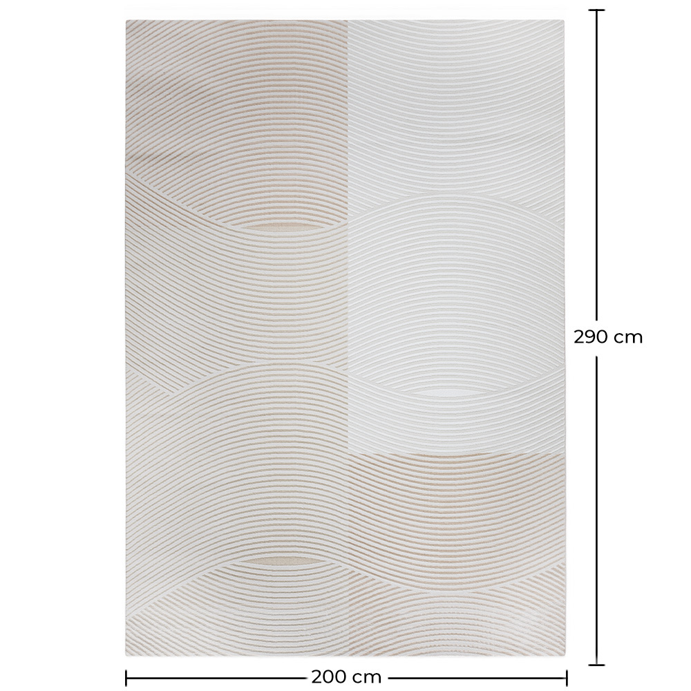 Rug Large Contemporary Modern Design - Beige (290x200 cm) - Kirui image 10