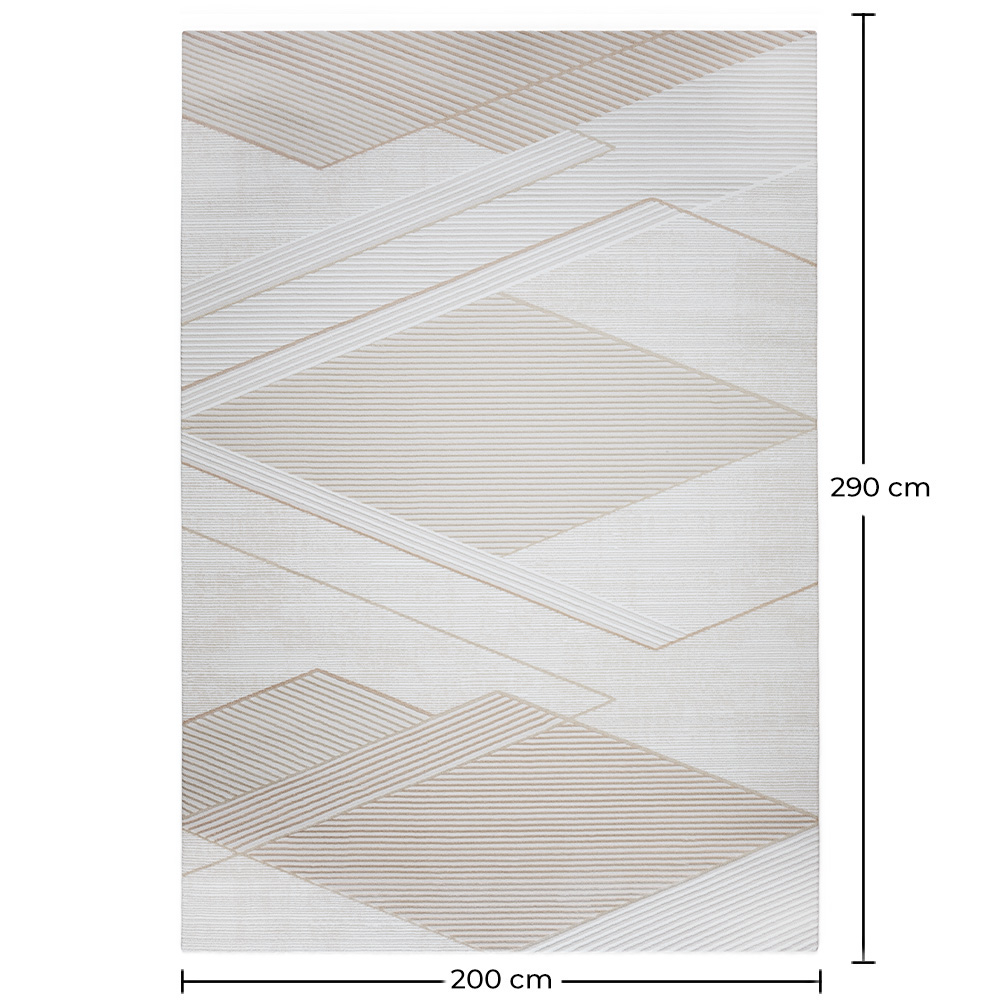 Rug Large Contemporary Modern Design - Beige (290x200 cm) - Utana image 10