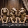 Decorative Design Figures - Monkeys - Sapiens image 7