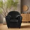 Armchair with Armrests - Upholstered in Leather - Club image 7