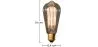 Vintage Edison Bulb- Squirrel image 7