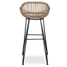 Buy Rattan Bar Stool with Armrests - Boho Bali Style - 75cm - Many Dark Wood 59256 with a guarantee