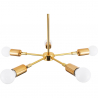 Buy Gold Ceiling Lamp - Design Pendant Lamp - 5 Arms - Tristan Gold 59834 at Privatefloor