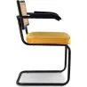 Dining Chair with Armrests - Upholstered in Velvet - Wood and Rattan - Puila image 7