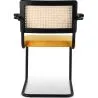 Dining Chair with Armrests - Upholstered in Velvet - Wood and Rattan - Puila image 7