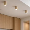 Wooden Ceiling Spotlight - Treva image 7