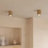 Wooden Ceiling Spotlight - Treva image 7