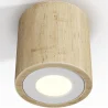 Wooden Ceiling Spotlight - Treva image 7