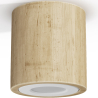 Buy Wooden Ceiling Spotlight - Treva Natural 60676 - in the EU