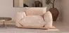 Armchair - Velvet Upholstery - Wers image 7