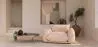 Armchair - Velvet Upholstery - Wers image 7