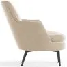 Contemporary Style Upholstered Velvet Design Armchair - Hanneh image 7
