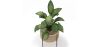 Round Floor Planter - Boho Style - Fusión image 7