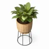 Round Floor Planter - Boho Style - Aventura image 7