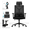 Buy Ergonomic Office Chair with Wheels and Armrests - Pebbles Black 61279 - prices