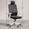 Buy Ergonomic Office Chair with Wheels and Armrests - Ergal Black 61280 with a guarantee