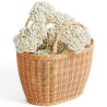 Buy Rattan Basket with Handles - Keray Natural 61318 - prices