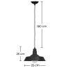 Buy Ceiling Lamp - Industrial Style Pendant Lamp - Flynn Black 50878 Home delivery