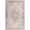 Vintage Oriental Carpet - (290x200 cm) - Lattice image 7