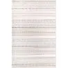Rug Large Contemporary Modern Design - Beige (290x200 cm) - Ferrum image 7
