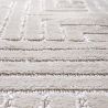 Rug Large Contemporary Modern Design - Beige (290x200 cm) - Rosella image 7