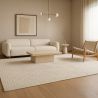 Rug Large Contemporary Modern Design - Beige (290x200 cm) - Rosella image 7