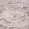 Vintage Oriental Carpet - (300x400 cm) - Alizarin image 7