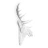 Buy Moose Bust Wall decor - Resin White 55734 at Privatefloor