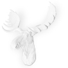 Buy Moose Bust Wall decor - Resin White 55734 in the Europe