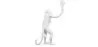 Table Lamp - Monkey Living Room Lamp -  Resina image 7