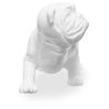 Decorative sculpture design Bulldog - Resin image 7