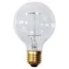 Vintage Edison Bulb - Cage image 7