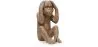 Decorative Design Figure - Deaf Monkey - Sapiens image 7