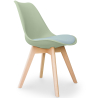 Buy Office Chair - Dining Chair - Scandinavian Style - Denisse Pastel green 58293 at Privatefloor