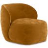 Velvet Upholstered Armchair - Mykel image 9