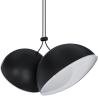 Buy Pendant Lamp - 2 LED Spots - Dual Black 61257 - in the EU