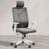 Buy Ergonomic Office Chair with Wheels and Armrests - Ergal Grey 61280 - prices
