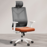 Buy Ergonomic Office Chair with Wheels and Armrests - Ergal Orange 61280 at Privatefloor