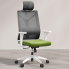 Buy Ergonomic Office Chair with Wheels and Armrests - Ergal Green 61280 in the Europe