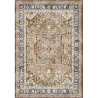 Buy Vintage Oriental Carpet - (290x200 cm) - Celes Brown 61392 - in the EU