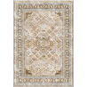 Buy Vintage Oriental Carpet - (290x200 cm) - Lyo Brown 61393 - in the EU