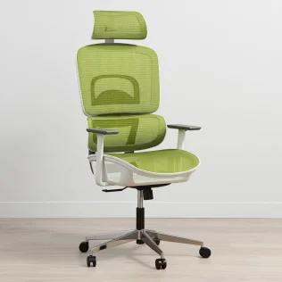 Buy Ergonomic Office Chair with Wheels and Armrests - Keys Green 61281 in the Europe