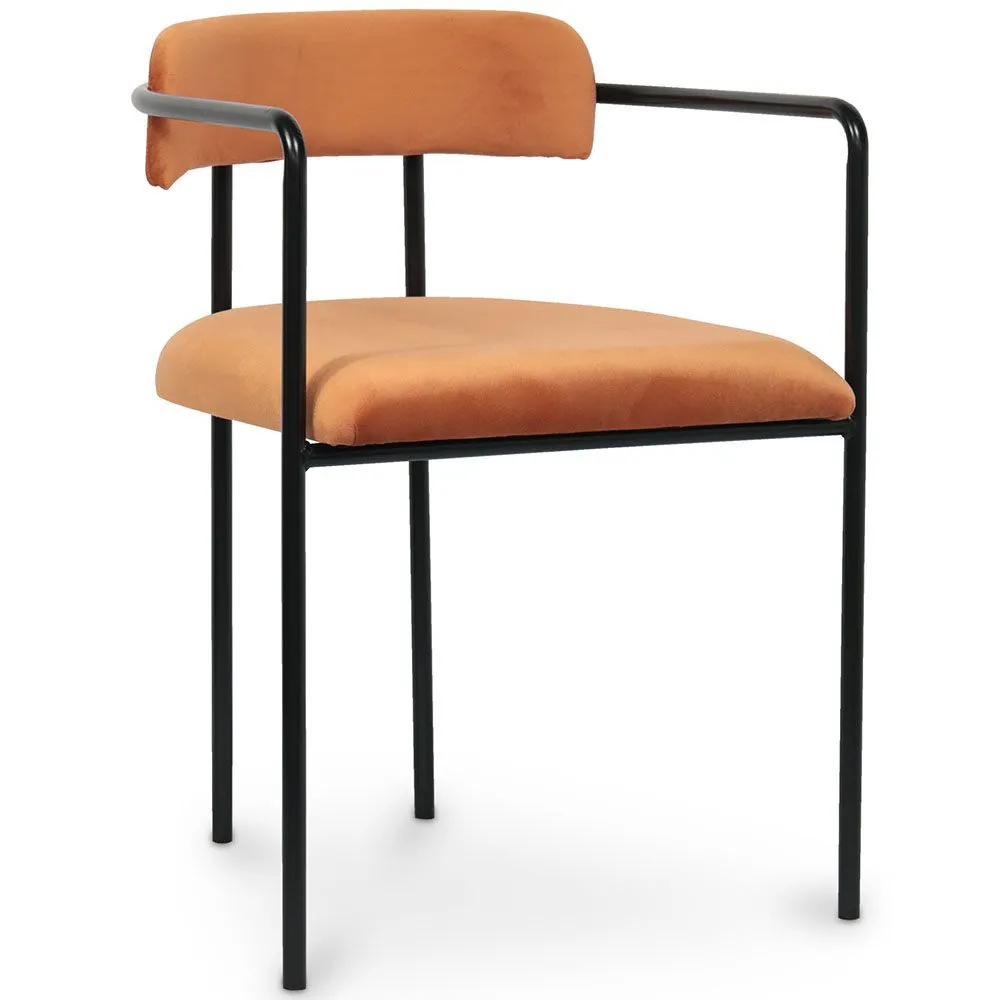 Upholstered Dining Chair - Velvet - Garne image 8